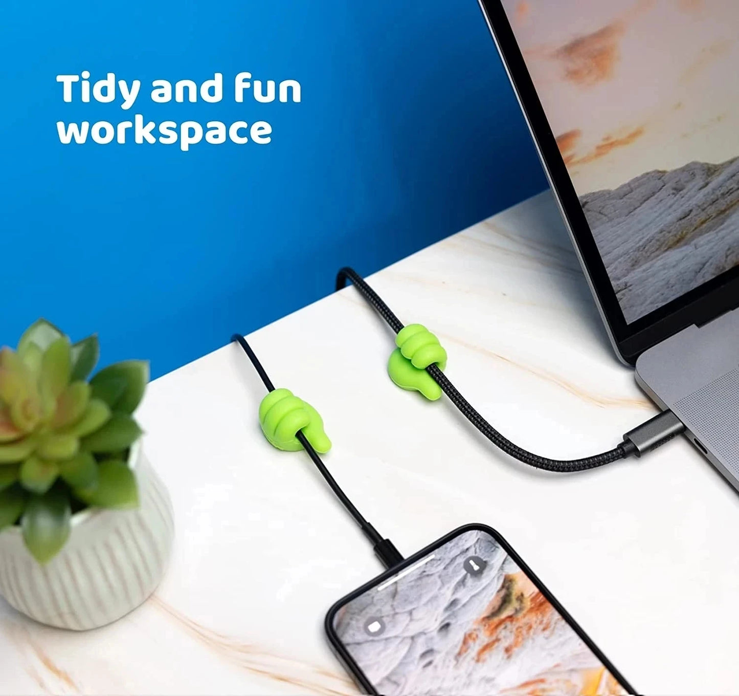 Mini organizer hook