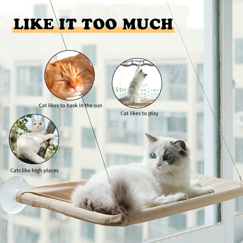 SuctionNap Cat Hammock