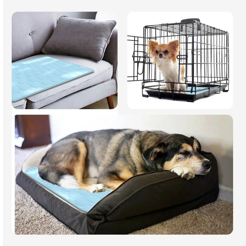 Cooling Dog Bed