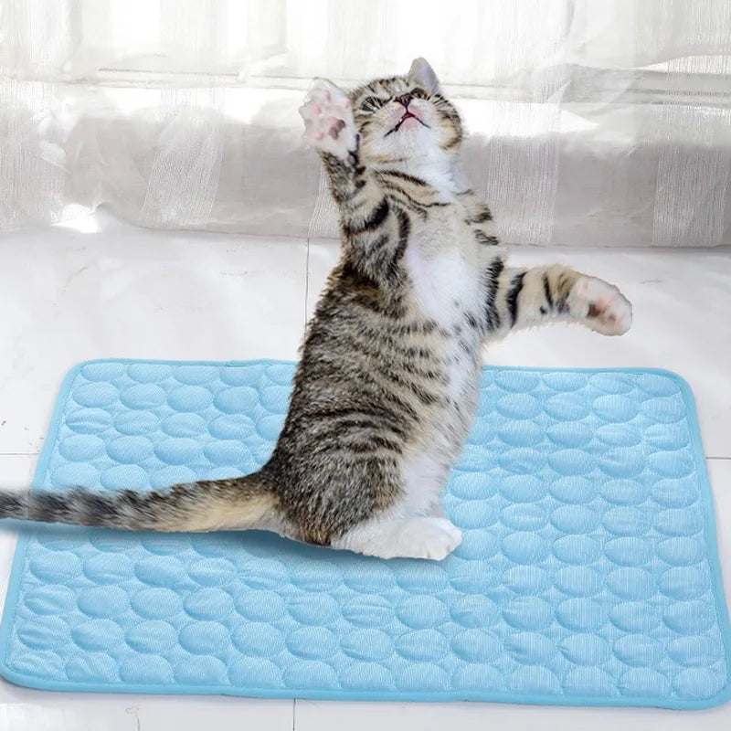 Cooling Dog Bed
