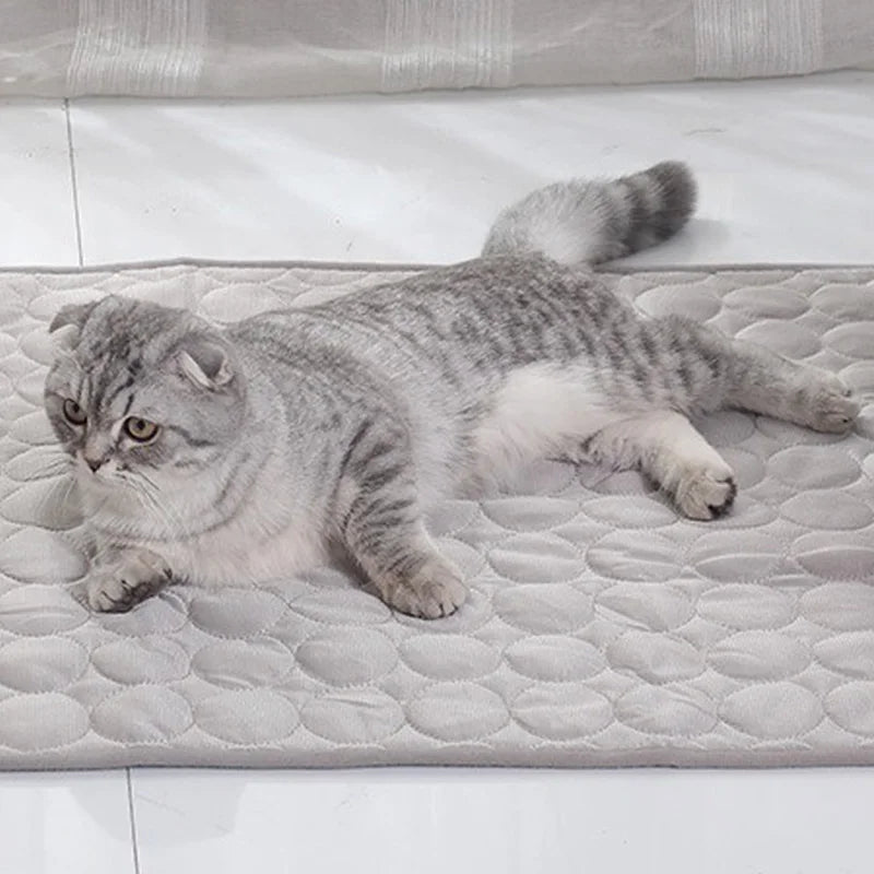 Cooling Dog Bed