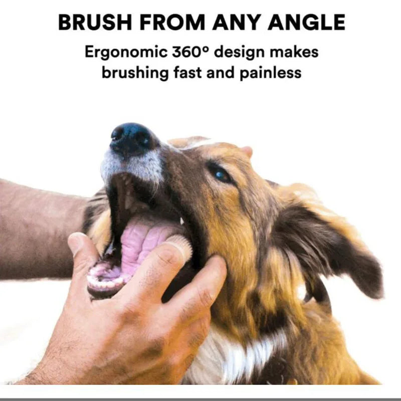 Super soft toothbrush for dogs and cats